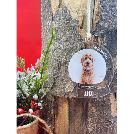 Bola Patudos com Foto